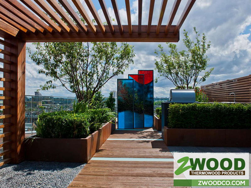 روف گاردن پشت بام