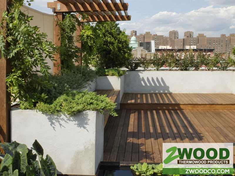 روف گاردن 5 روف گاردن 5